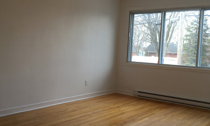 5 1/2 - Duplex Au Rd...