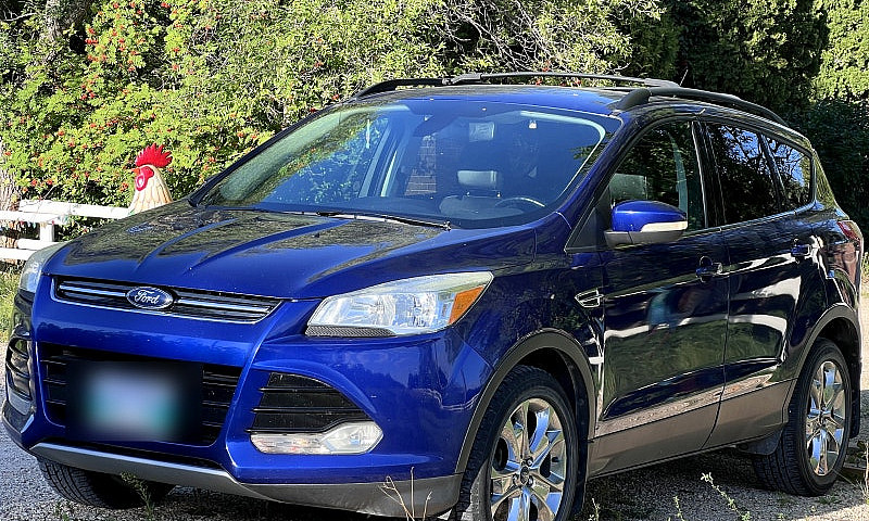 2013 Ford Escape Sel...