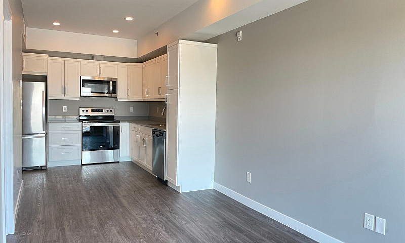 Modern 1-Br Apartmen...