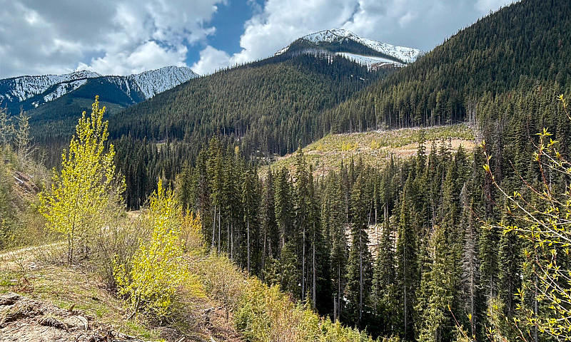 Quartz Creek Placer ...