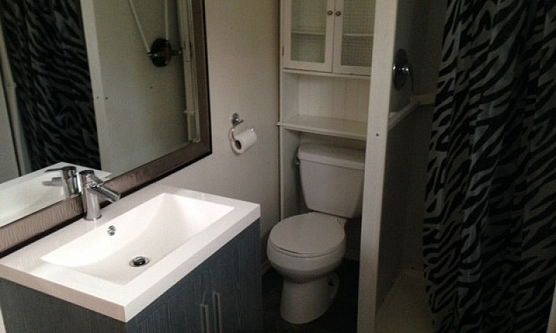 2 Bedroom Basement S...