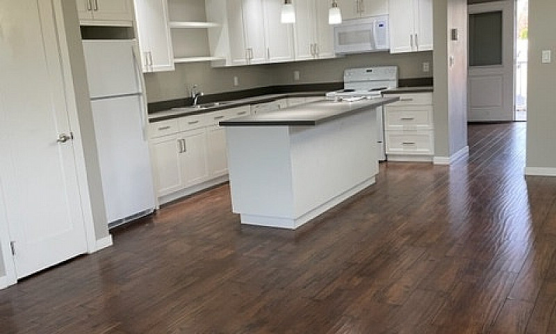 Quiet 1/2 Duplex 3 B...