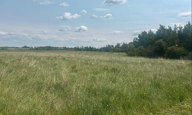 Land For Sale - Lac ...