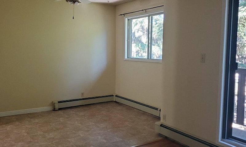 Three Bedroom Apartm...