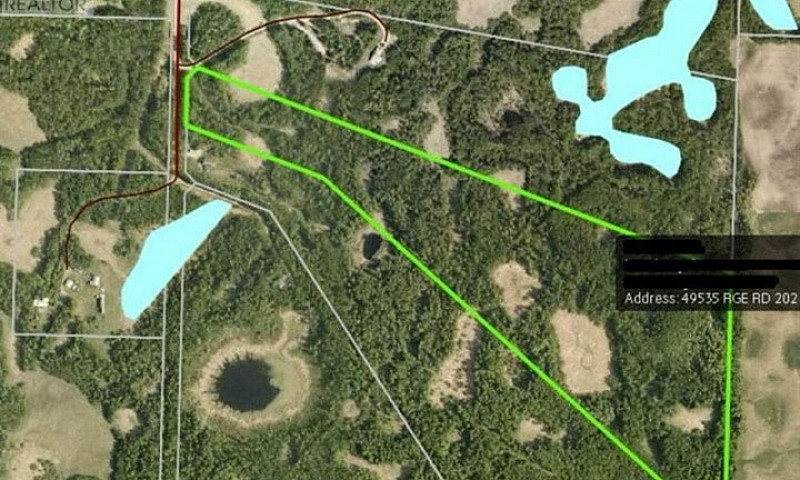 39.5 Acres In Camros...