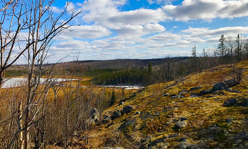 100 Acres In Magneta...