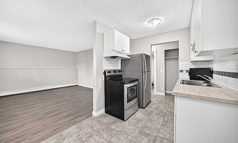 Spacious Apartment A...