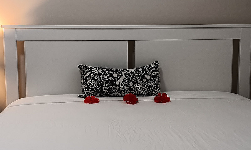 A Room For Rent With...