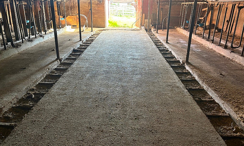 Barn And 55 Acres Of...