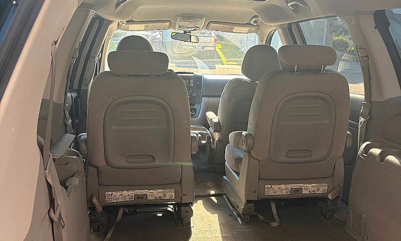 2010 Hyundai Entoura...