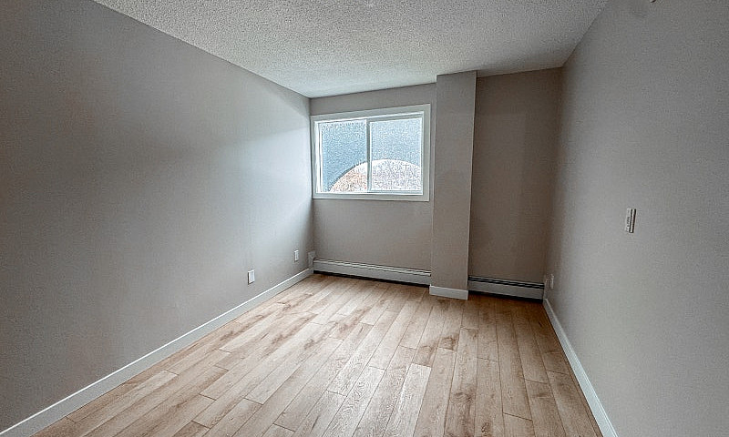 Newly Renovated Bach...