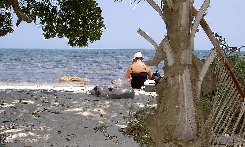 Own An Ocean Front L...
