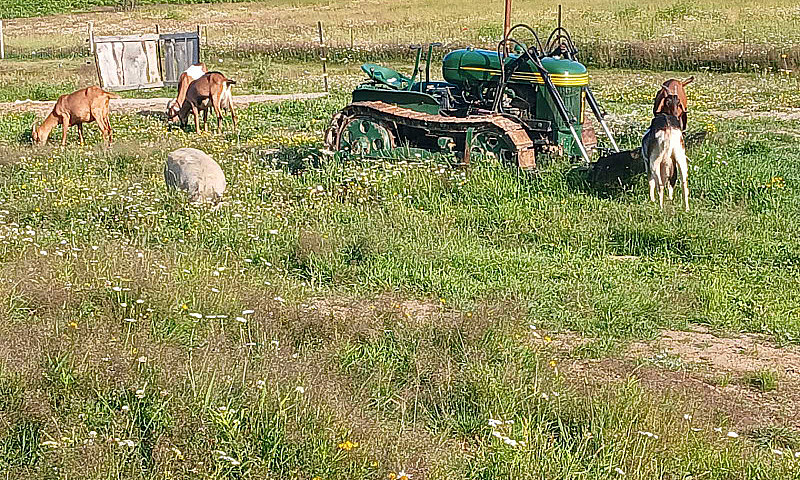 Farm For Sale Huron ...