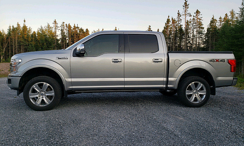 2020 F150 Platinum 4...