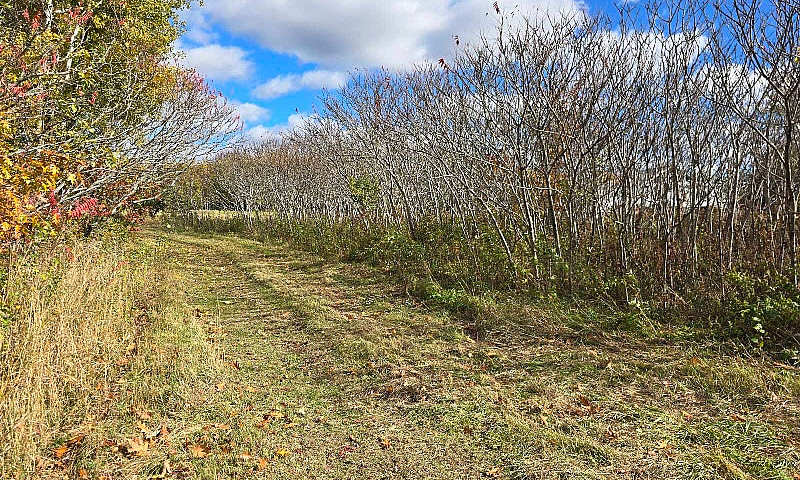 1.8 Acre Lot For Sal...