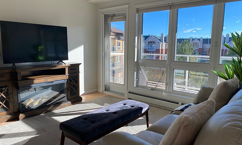 Executive 2-Bed Furn...