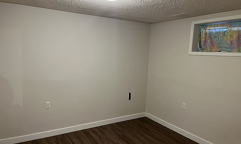 2 Bedroom Basement I...