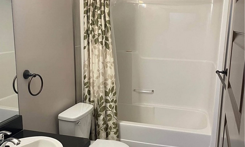 1 Bedroom Apartment ...