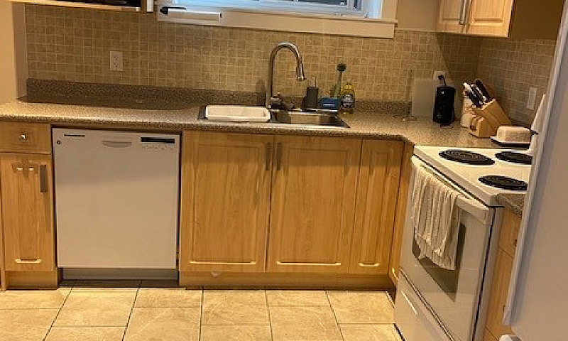 Furnished Spacious N...