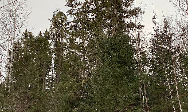  3-Acre Building Lot...