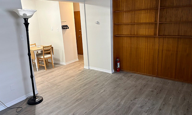 Furnished One Bedroo...