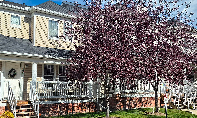 Homey Townhouse With...