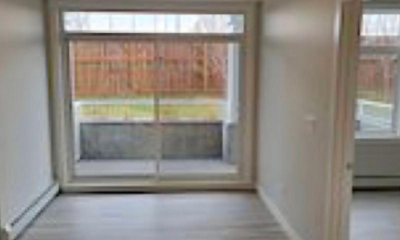 Luxury 1 Bedroom Con...