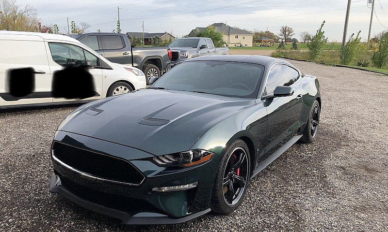 2019 Ford Mustang Bu...