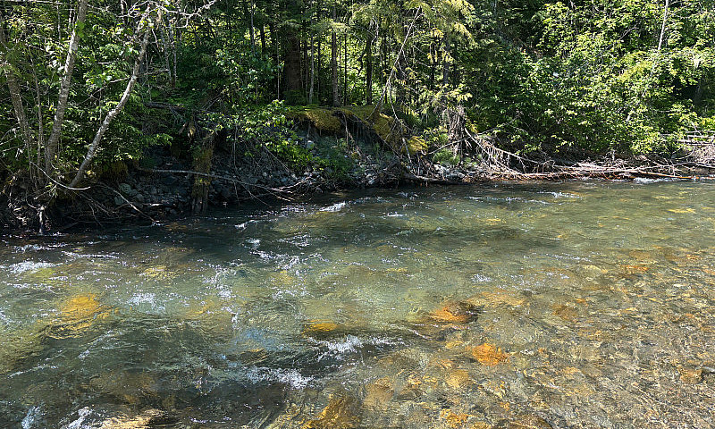  Monashee Gold Claim...