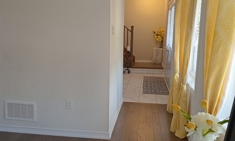 House  Avail Immed S...