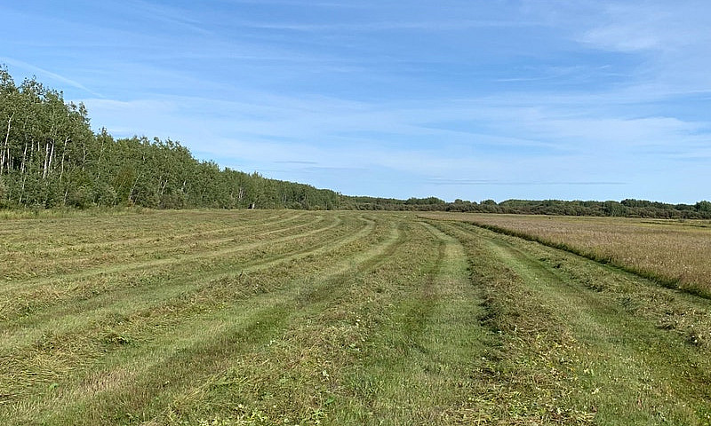 960 Acres Of Farm An...