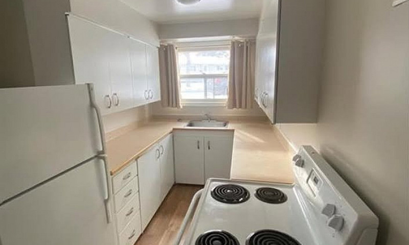 1 Bed 1 Bath Apartme...