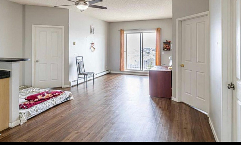 Rent Apartment...