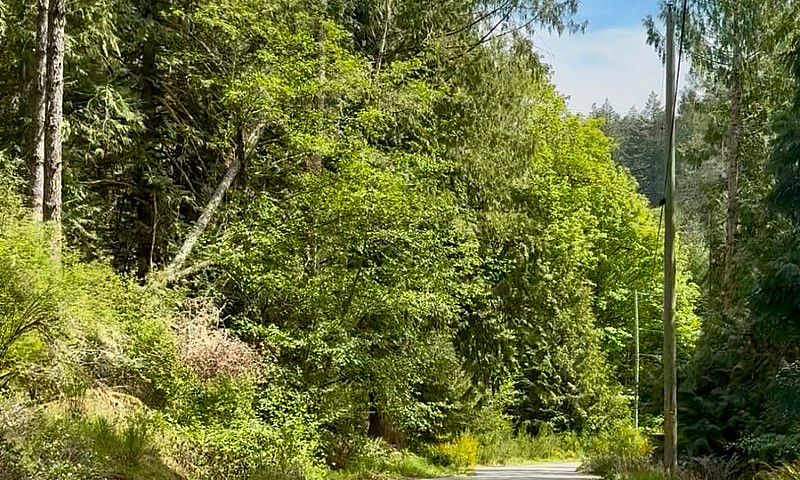 6.25 Acres - Build Y...