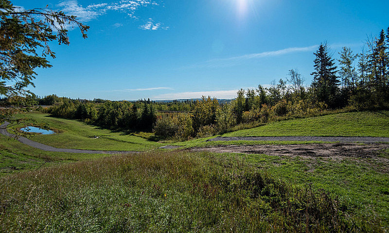 1.25 Acres In Burban...