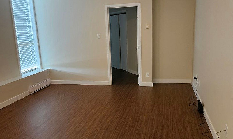 Cozy 1-Bedroom Apart...