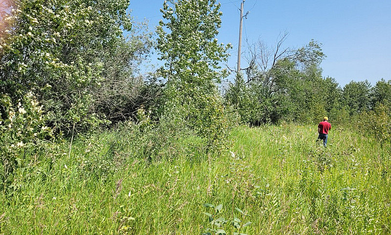 2 Acre Yard Site For...