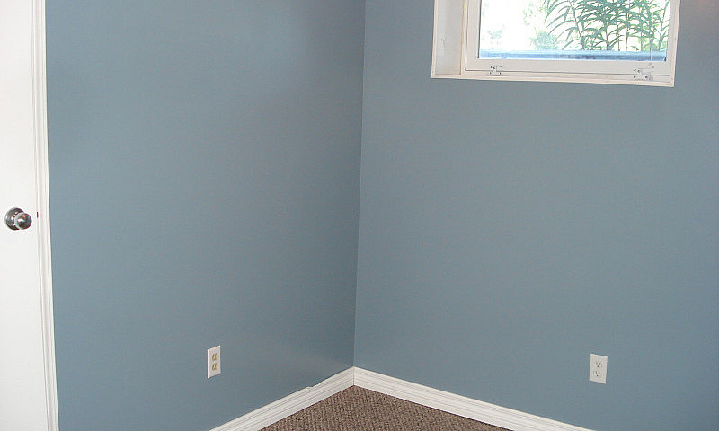 2 Bedroom Basement S...
