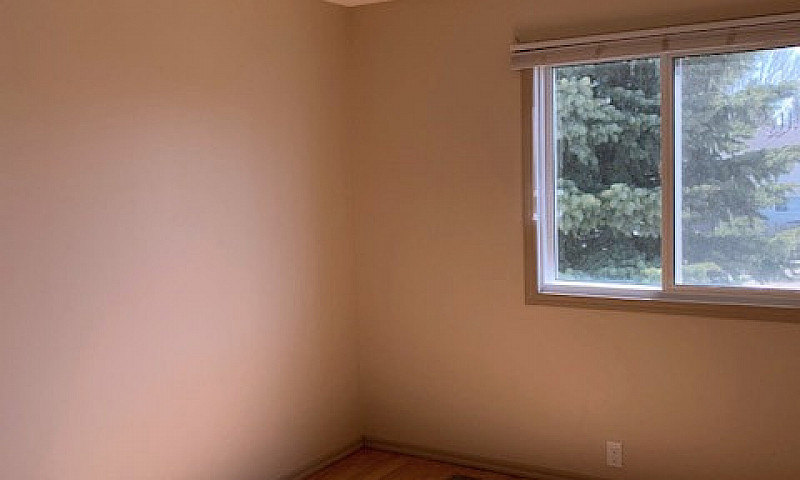 3 Beds 1.5 Baths Tow...