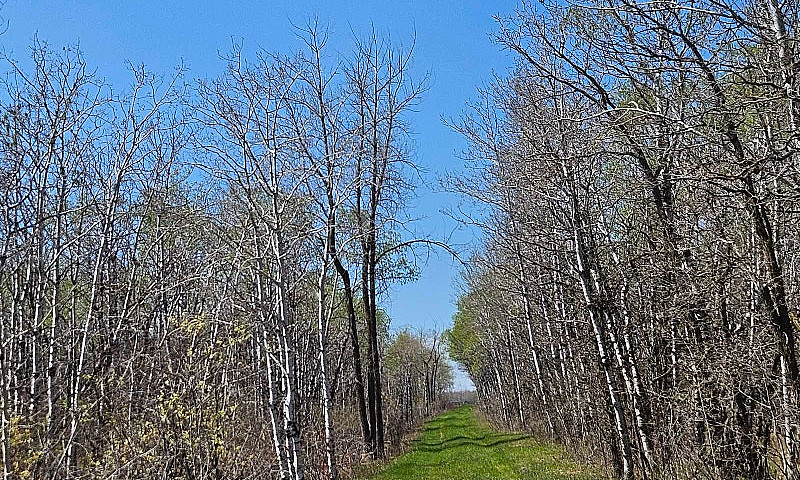 80 Acres, Lakefront ...
