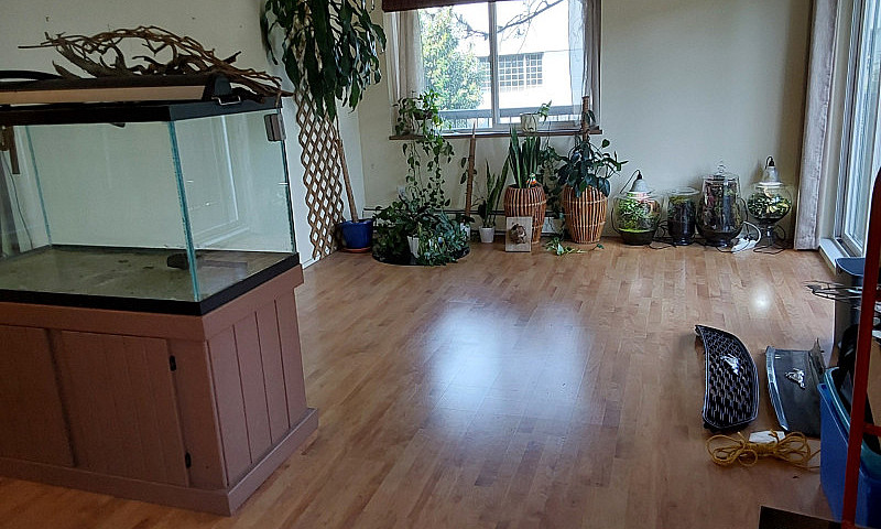 Bright Spacious 750-...