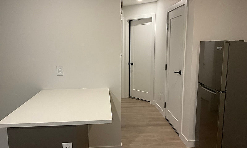 New Basement Suite F...