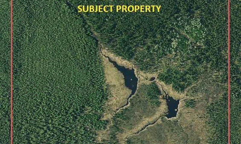 164 Acre Natural Par...