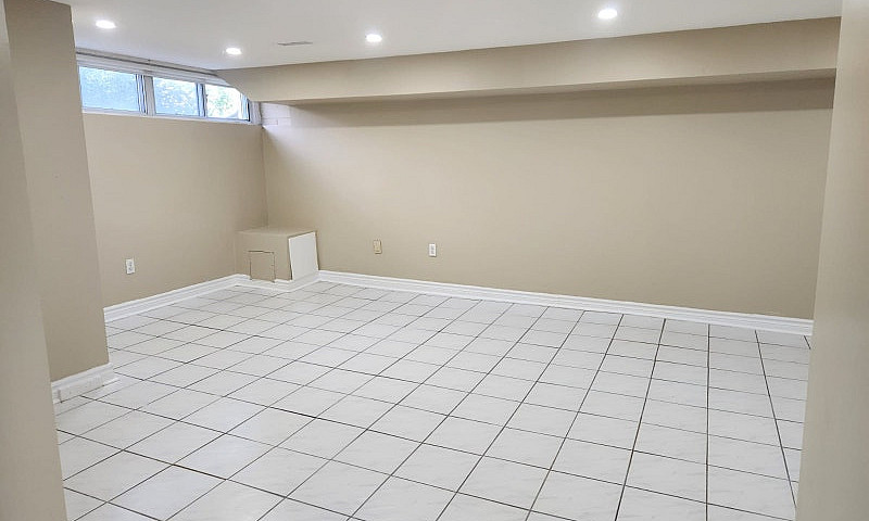 Freshly Renovated Ba...
