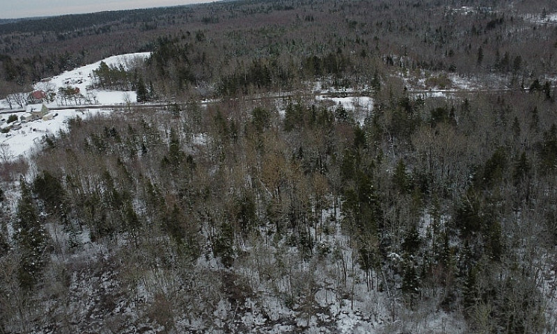 9 Acre Private Build...