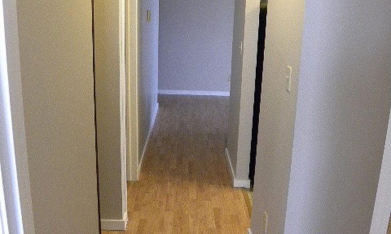 Amazingly Convenient...