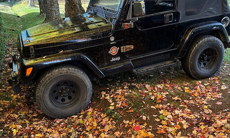 Jeep Wrangler  2 Por...