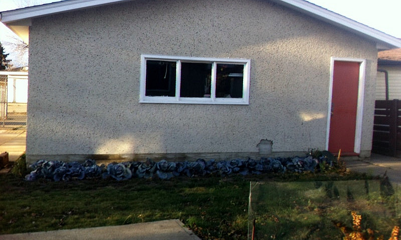 Ideal For Large Fami...