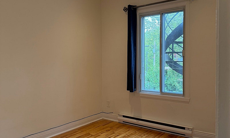 Beautiful Apartment ...