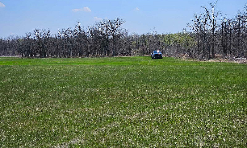 80 Acres, Lakefront ...